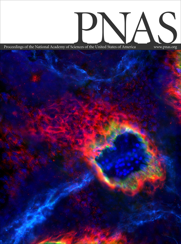 A Charging-free Electrochemical System for Harvesting Low-grade Thermal Energy