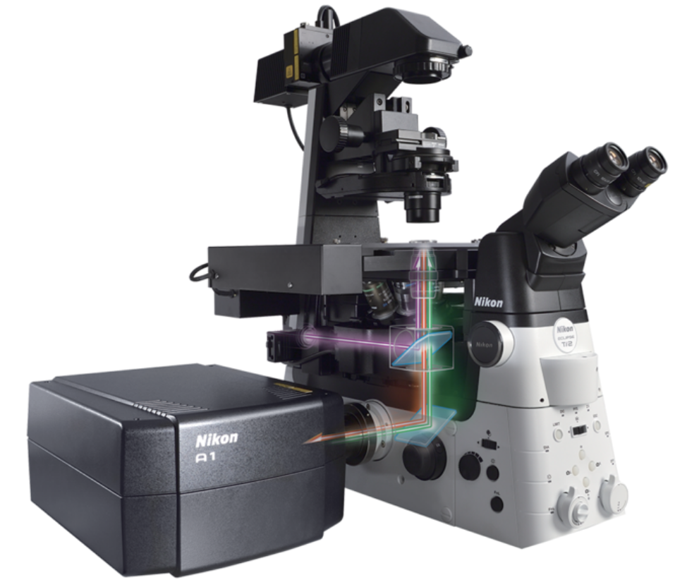 Optical Microscope