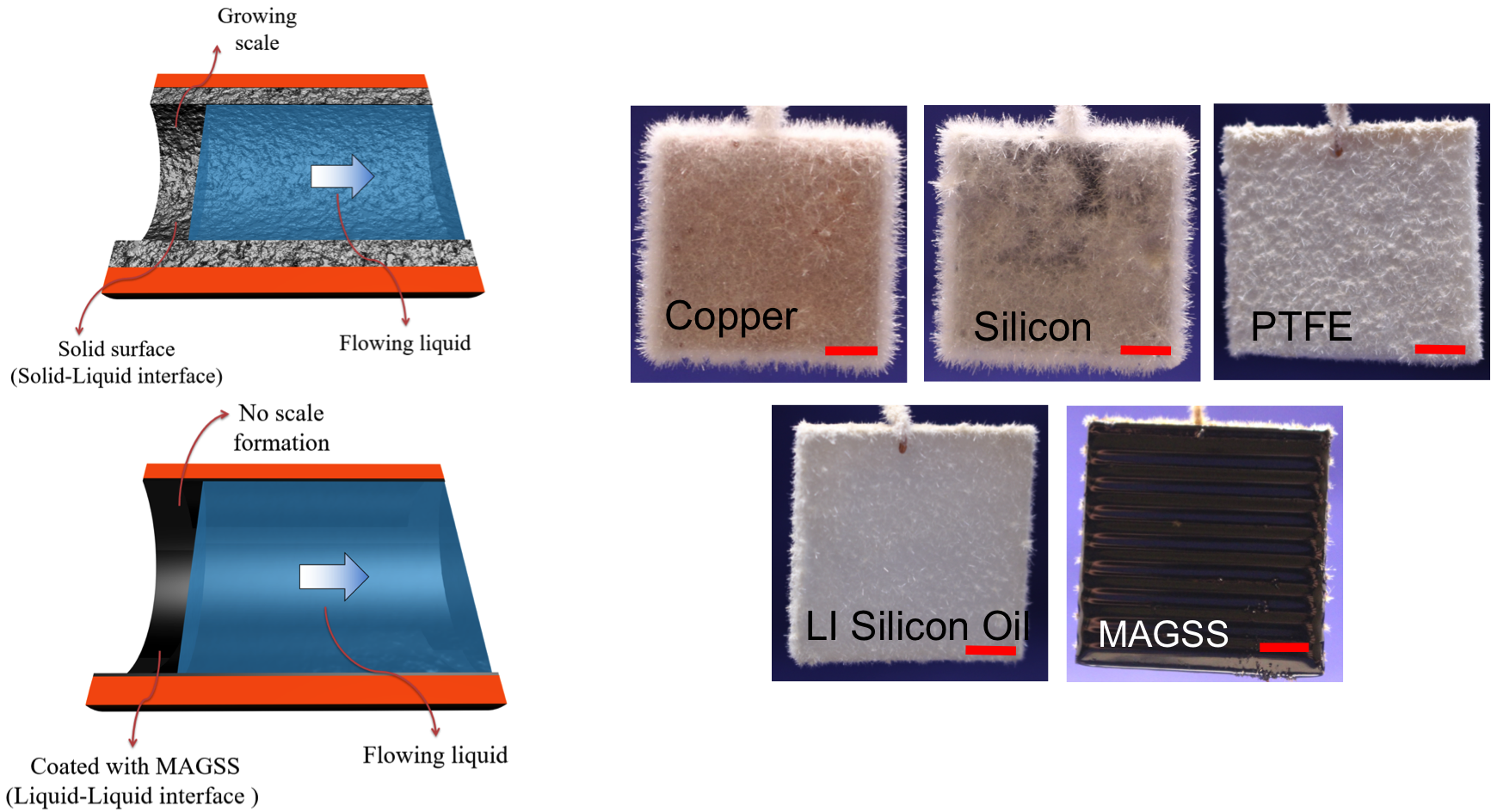 Anti-scaling magnetic slippery surfaces