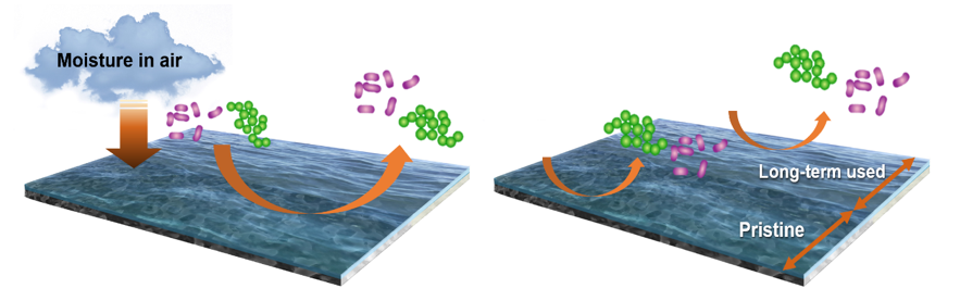 Networked Zwitterionic Durable Antibacterial Surfaces