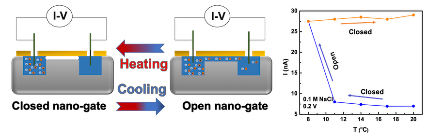 Surface Tension Nanogates for Controlled Ion Transport